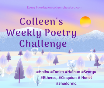 Join-us-every-Tuesday-on-colleenchesebro.com1-2